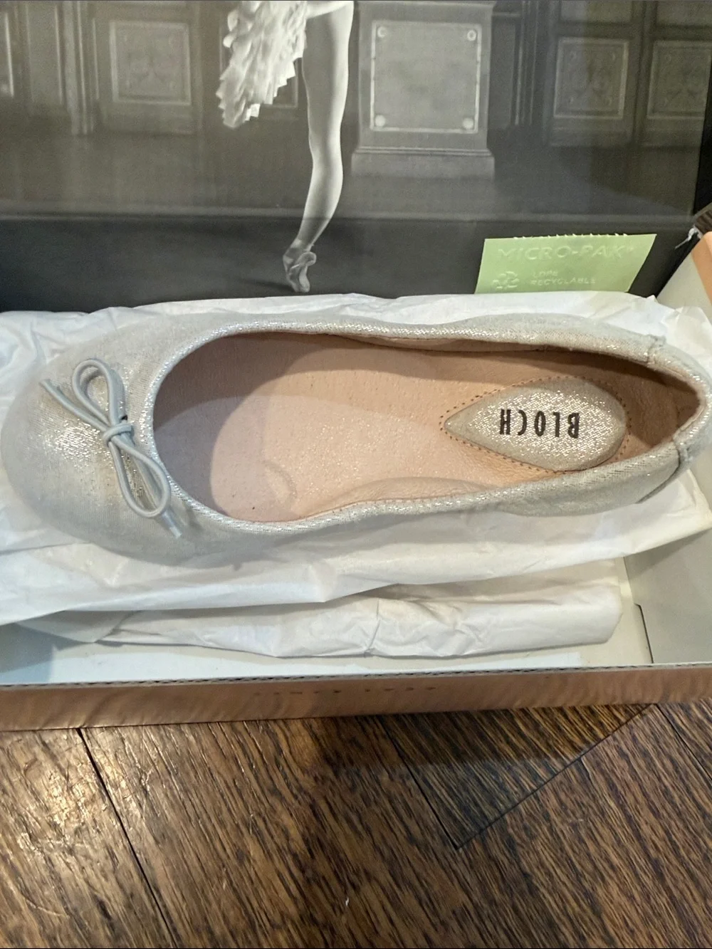 Bloch Silver Glitter Kids Ballet Flat with Bow